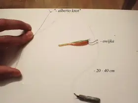 Demonstracja wiązania fluorocarbonu z plecionką metodą "alberto knot". Zestaw z gumową przynętą i ołowiem.